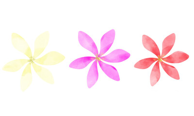 Hand-drawn watercolor plumeria flowers painting. Plumeria flowers vector illustration. © Ryulookyee