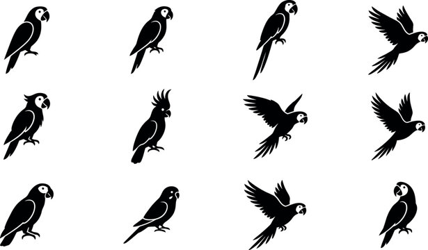 Vintage style illustrations of a parrot in various poses and flight patterns