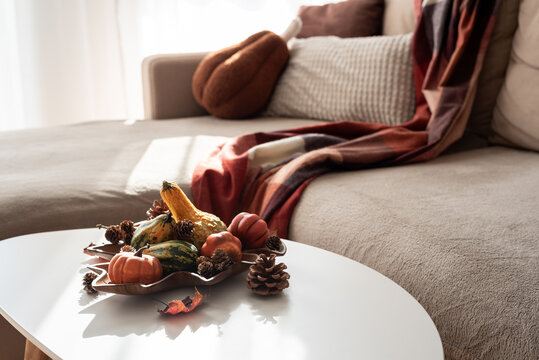 Cozy Autumn Living Room Scene with Gourds and Plaid Blanket Decoration