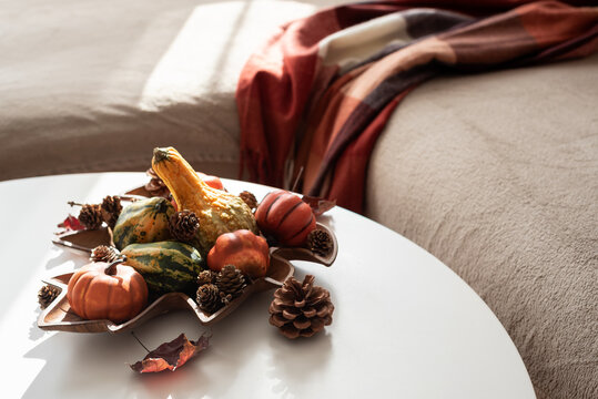 Seasonal autumn harvest display of gourds and pinecones on a white table with cozy throw blanket