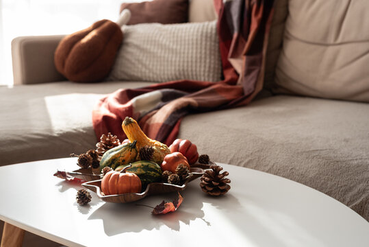 Cozy autumn home interior with pumpkins and pinecones on coffee table near sofa