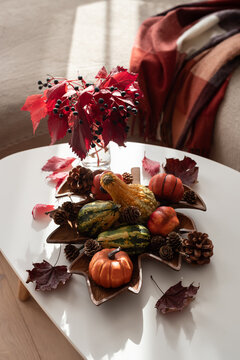 Autumn harvest display with gourds and vibrant red leaves on table