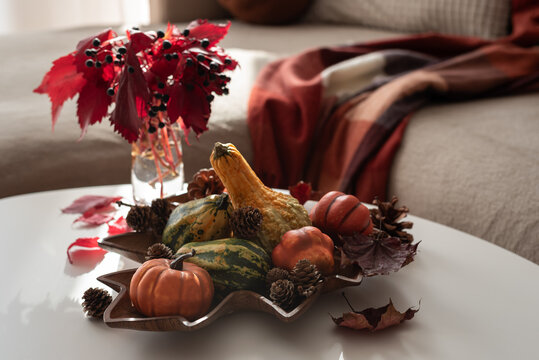 Harvest decorative arrangement of pumpkins gourds pinecones autumn leaves on white table