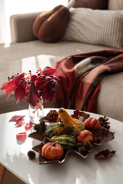 Cozy autumn fall harvest arrangement with pumpkins gourds berries and pinecones indoors
