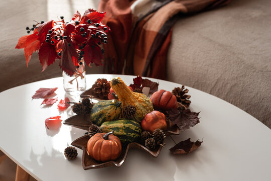 Cozy Autumn Home Decor Display with Gourds Pinecones and Red Leaves on White Table