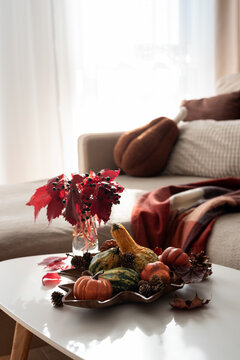 Cozy Autumn Harvest Display of Gourds and Red Leaves on Coffee Table