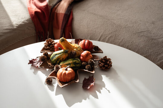 Autumn harvest decoration with gourds and pinecones on a white table in soft light