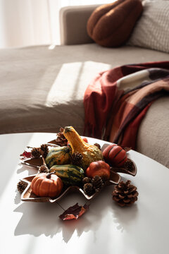 Decorative autumn gourds and pine cones in star shaped bowl on table cozy interior