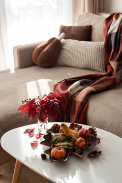 Cozy autumn living room scene with pumpkins, leaves, and warm blanket on sofa