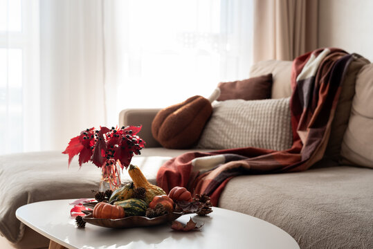 Cozy Autumn Living Room Decoration With Pumpkins And Red Leaves On Table