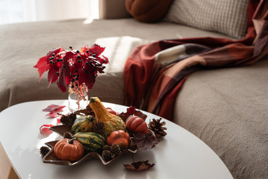 Autumnal harvest display with gourds and red leaves on a table near a couch