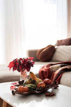 Autumn harvest decoration with gourds and red leaves on a white table next to a sofa
