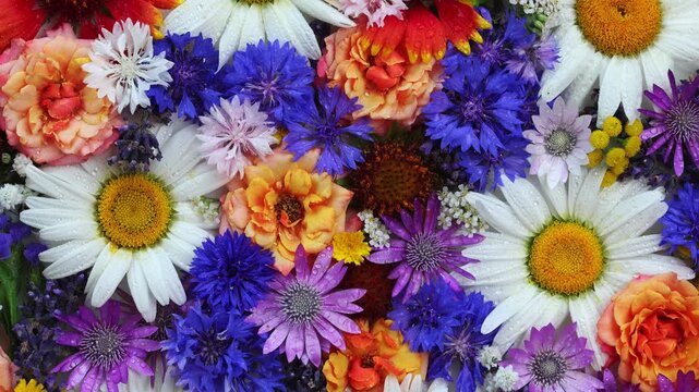 Colorful Flat Lay of Cornflowers, Daisies, Roses, and Asters Forming a Vivid Mixed Flower Bouquet Background