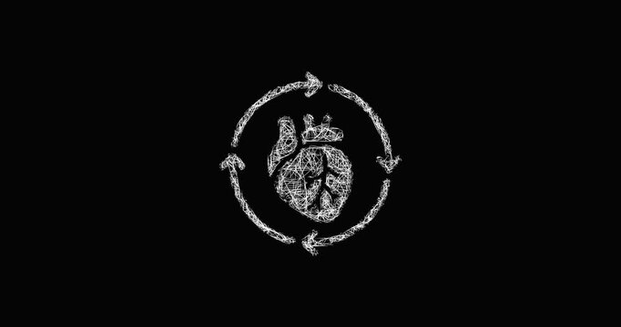 Sketch blood circulation icon animation - smooth progressive reveal