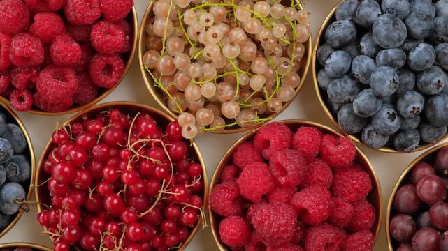 Red Currants, White Currants, Gooseberries, Raspberries, Blueberries, and Black Currant Arranged in Round Bowls Flat Lay Top View