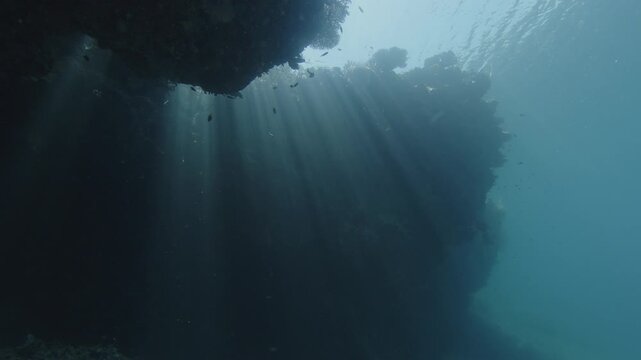 Underwater seascape with caverns of intricate shape on one of the islands of the MIsool Archipalago, Raja Ampat, West Papua, Indonesia