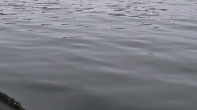 A craft edge frames cold water with scattered floating ice nearby. The image retains calm conditions as secondary detail, while light and texture shape the wider scene.