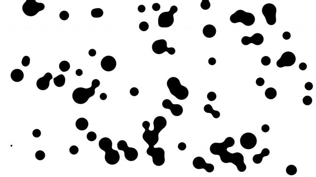 Metaball Connect black Dot Dynamics Animation Loop. Abstract Geometric Dots logo. Morphing Ball Elements