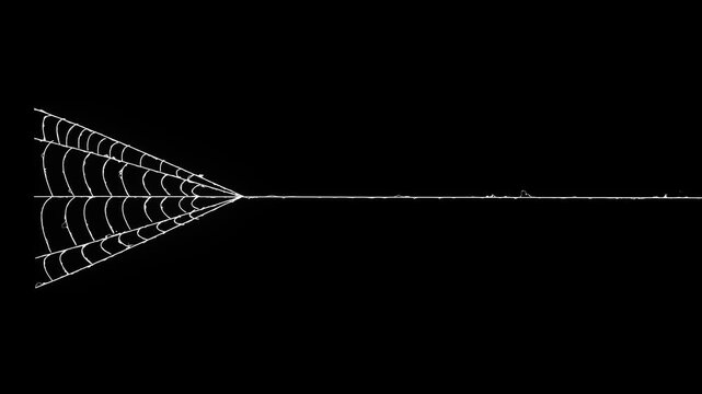 Spider man web launch animation on black screen, realistic cobweb structure, halloween horror vfx overlay, spider web rapidly stretching and contracting its elastic threads, ultra hd 4k.