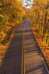 Obraz premium Peaceful empty road beneath colorful autumn leaves. Winding route through dense woodland glowing with seasonal foliage.