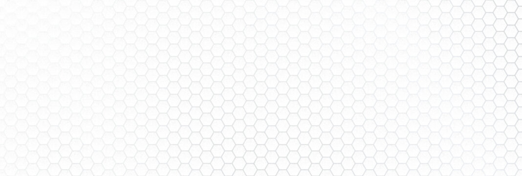 Background pattern abstract with subtle corporate line and white technology silver. Soft graphic presentation with backgound polygon backdrop and light lines luxury. Shape gradient grainy
