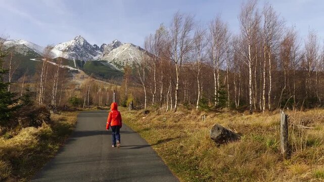 Little beautiful girl walks during a strong wind near Lomnicky stit, High Tatras, Slovakia.