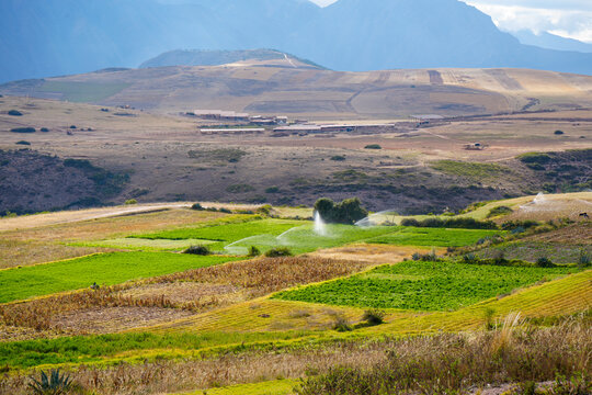 Agricultural valley with green and yellow crop plots watered by sprinklers beneath mountains