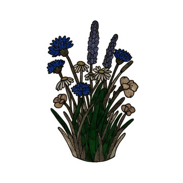 A detailed floral arrangement featuring cornflowers daisies and lavender is rendered as a vector illustration on a white background botanical cornflower