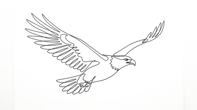 Continuous line art of a bald eagle flying with wings spread