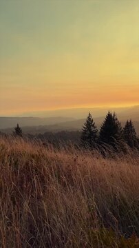 Sunset setting over some hills in Oregon with a view of the Pacific Northwest on a nice day. This vertical video clip is shot near the town of Corvallis.
