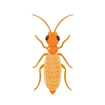 A simple and modern flat 2D vector of a Termite, isolated on a pure white background.