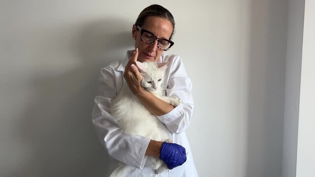Veterinaria acariciando y calmando a un gato blanco