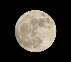 Fototapeta premium Bright full moon illuminating dark sky for lunar astronomy and space exploration.