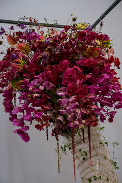 Hanging Floral Installation with Cascading Magenta Orchid Blooms. An elaborate hanging floral art installation featuring dense clusters of vibrant magenta, deep purple, and red orchids (Phalaenopsis) 