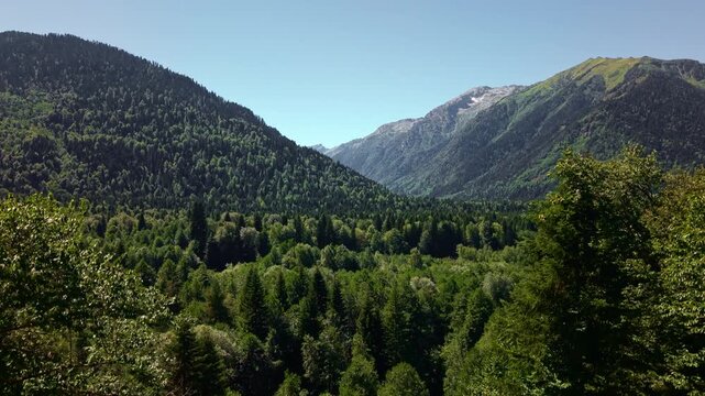 Aerial view of forested valley and mountain slopes
