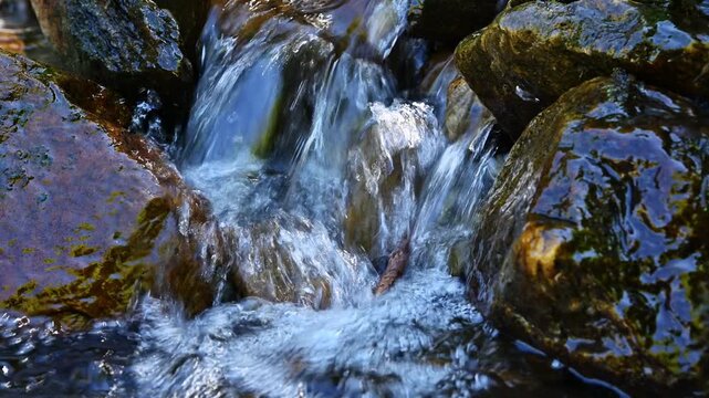Rapid stream flowing through rocky terrain and boulders