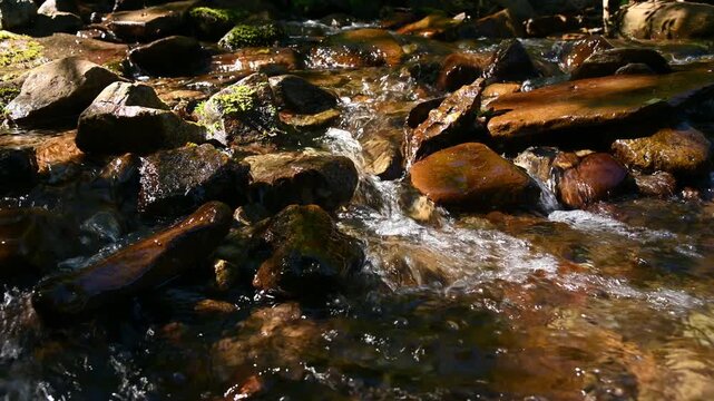 Clear stream flowing over rocky riverbed in forest