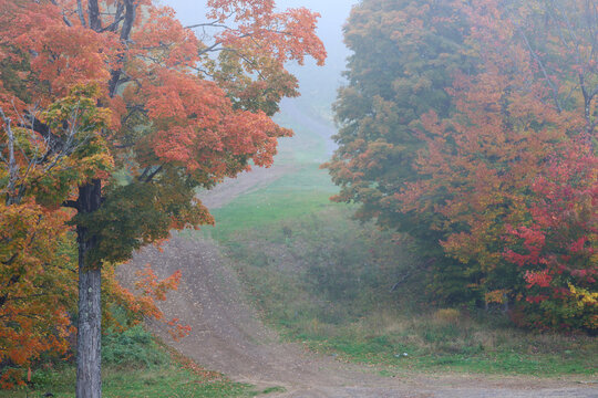 brouillard dans la for&ecirc;t en automne, Brume sur la montagne emn automne