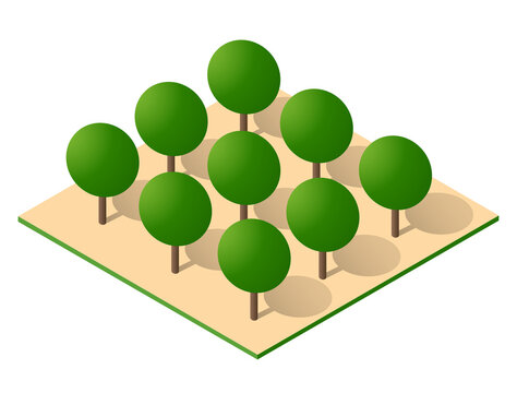 Isometric 3d illustration showing a small park