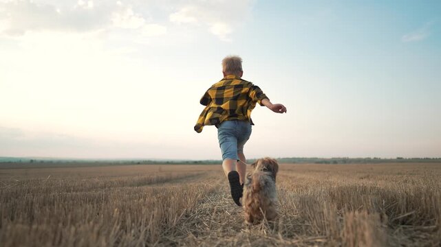 Young boy in yellow plaid shirt runs joyfully across harvested wheat field at golden sunset. Small terrier dog follows closely behind. Child spreads arms wide embracing countryside freedom.