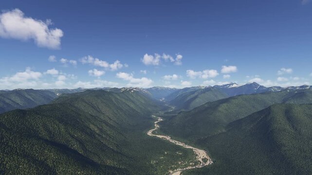 Aerial view of Hoh Rain Forest Washington. United States