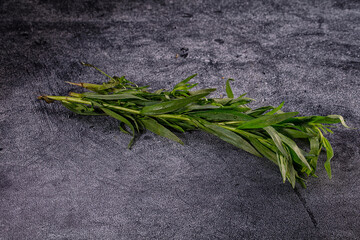 Dark textured surface with fresh green tarragon sprigs arranged diagonally, culinary herb © Andrei Starostin