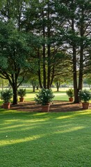 Obraz premium Serene Garden with Potted Plants and Tall Trees in Gentle Sunlight