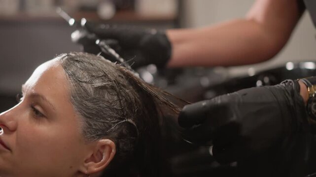 Woman receives professional hair treatment. hairstylist applies dye to her wet hair working carefully with tools and products stylist client application