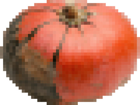 Whole pumpkin isolated on white background for autumn harvest and seasonal design - transparent background png. Pixel art, 8-bit, transparent background