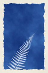 Vertical cyanotype with a fern on a diagonal © niknet