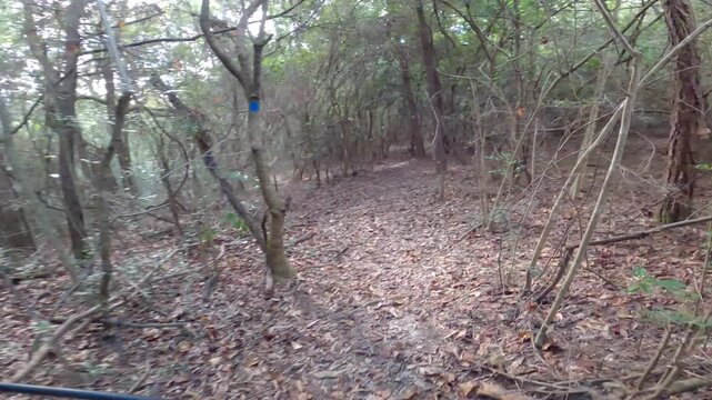 Old Rail Trail bike 4