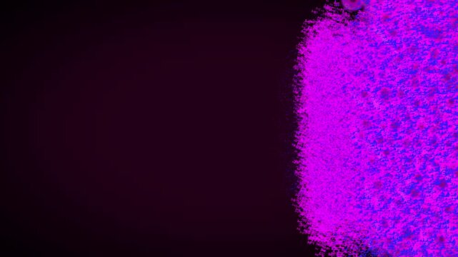 Magenta and blue particle cloud dissolving along the right edge of a dark plum background, abstract animated backdrop with empty copy space on the left side
