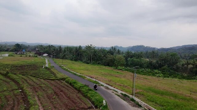 Drone shot of peaceful countryside road and paddy fields in Java
