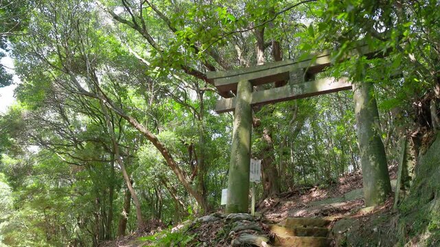 森の山道に立つ石の鳥居と石段、木漏れ日が差す静かな参道